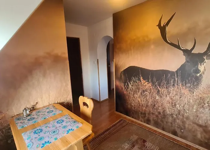 Accommodatie bij particulieren Wynajem Pokoi Magdalena *