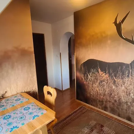 Accommodatie bij particulieren Wynajem Pokoi Magdalena *